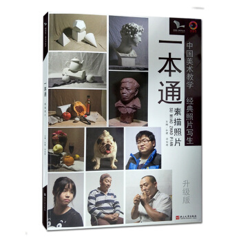 一本通素描照片 我有我有我一套系列丛书 实战临摹练习范画对照艺考美术书籍