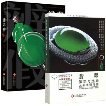 翡翠鉴定与购从新手到行家珠宝鉴定书籍+翡翠辨假 全2册 翡翠书籍鉴赏收藏 要点速查表 核心知识一览 pdf epub mobi 电子书 下载
