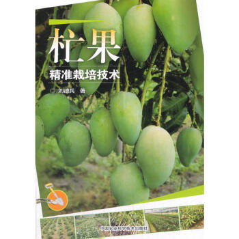 正版 杧果精准栽培技术 农业林业 芒果营养价值与经济价值 芒果的生物学特性 芒果苗木繁殖 pdf epub mobi 电子书 下载