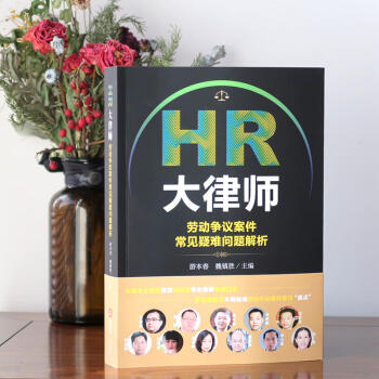 HR大律师：劳动争议案件常见疑难问题解析 pdf epub mobi 电子书 下载