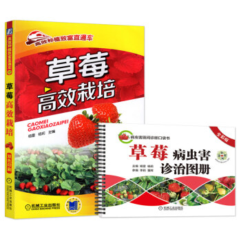 草莓高效栽培(双色印刷)+草莓病虫害诊治图册 大棚草莓种植技术大全 草莓高效栽培书籍 种草莓的书病虫 pdf epub mobi 电子书 下载