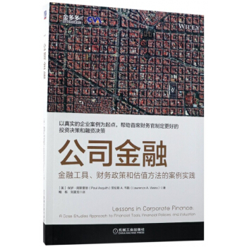 公司金融(金融工具财务政策和估值方法的案例实践)/金多多金融投资经典译丛 pdf epub mobi 电子书 下载