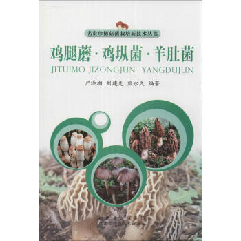 新華書店 雞腿蘑.雞樅菌.羊肚菌 書籍 種植業 pdf epub mobi 電子書 下載