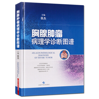胸腺肿瘤病理学诊断图谱 医学书籍 正版书籍 pdf epub mobi 电子书 下载