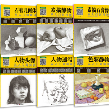 正版自学画画色彩静物 素描石膏像 石膏几何体 素描静物 人物速写 人物头像从入门到精通 素描速写基础