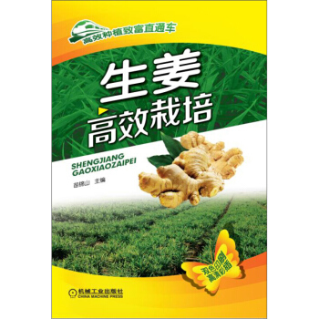 生姜高效栽培 高效种植致富直通车 生姜栽培技术 病虫害防治 农作物种植技术 蔬菜栽培管理技术大全 农 pdf epub mobi 电子书 下载