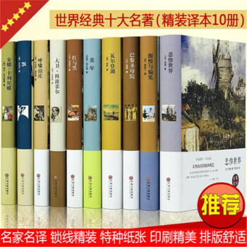 世界十大名著套装正版全10册外国文学小说系列 巴黎圣母院飘童年红与黑呼啸山庄悲惨世界大卫科波菲尔等 pdf epub mobi 电子书 下载