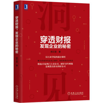 穿透财报，发现企业的秘密 上市公司财务报表分析从入门到精通教程书籍 财务会计管理书籍 财报分析 财务 pdf epub mobi 电子书 下载