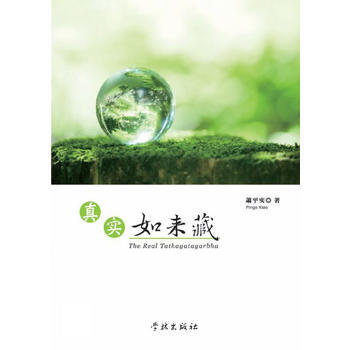 真实如来藏 pdf epub mobi 电子书 下载