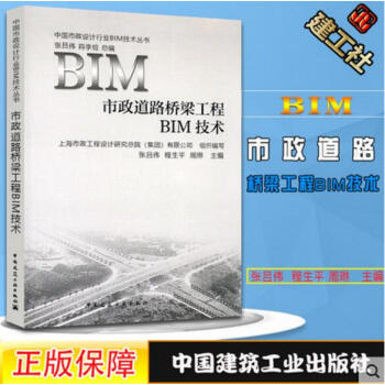 市政道路桥梁工程BIM技术 中国市政设计行业BIM技术丛书 张吕伟 蒋力俭 周琳 编 pdf epub mobi 电子书 下载