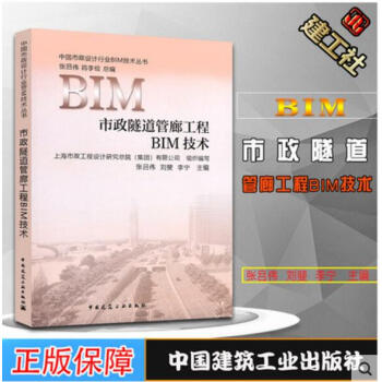 市政隧道管廊工程BIM技术 中国市政设计行业BIM技术丛书 张吕伟 刘斐 李宁 编 pdf epub mobi 电子书 下载