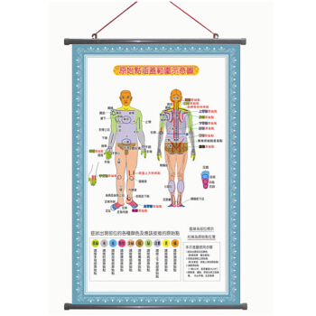 原始点涵盖范围示意图+挂轴 常用经络穴位按摩挂图（附说明书） 带挂轴 pdf epub mobi 电子书 下载
