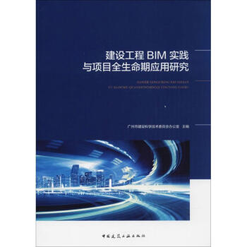 建设工程BIM实践与项目全生命期应用研究 pdf epub mobi 电子书 下载