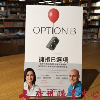 擁抱B選項 雪柔.桑德伯格與亞當.格蘭特閤著 齊若蘭譯 港颱翻譯GTYB pdf epub mobi 電子書 下載