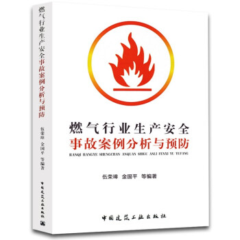 正版 燃氣行業生産安全事故案例分析與預防 燃氣安全用書
