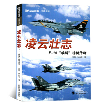 经典战史回眸·兵器系列·凌云壮志：F－14“雄猫”战机传奇 彭俊 耿志云 武汉大学出版社 pdf epub mobi 电子书 下载