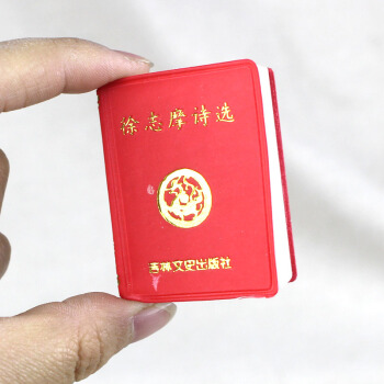 微型書--徐誌摩詩選 pdf epub mobi 電子書 下載