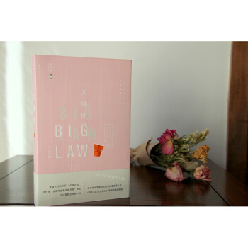 【正版现货】大律所 （美）林赛˙卡梅伦著，孙林、段静译 法律出版社 pdf epub mobi 电子书 下载