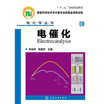 電化學叢書--電催化 9787122171832