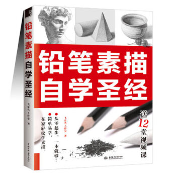 正版現貨 鉛筆素描自學** 飛樂鳥 視頻教程 素描繪畫入門自學零基礎 靜物臨摹教程 人物