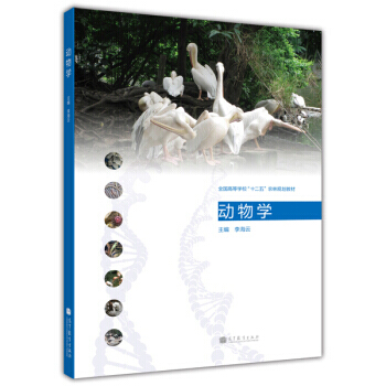 动物学/全国高等学校“十二五”农林规划教材 pdf epub mobi 电子书 下载