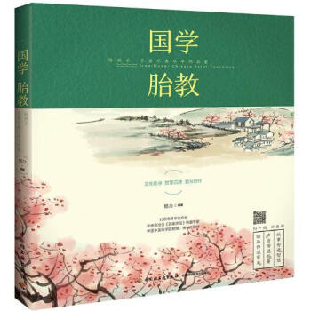 国学胎教：给孩子尽善尽美尽早的启蒙 pdf epub mobi 电子书 下载