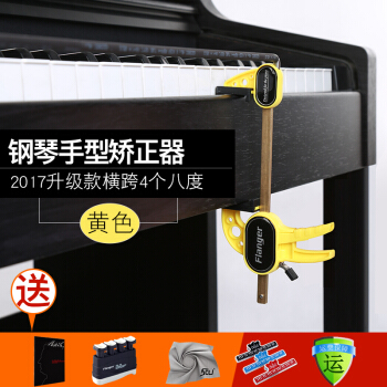 弹钢琴手型矫正器手腕儿童专用手形纠正手势手指指法练琴神qi支架 手型矫正器黄色+黄色指力器+擦琴布 pdf epub mobi 电子书 下载