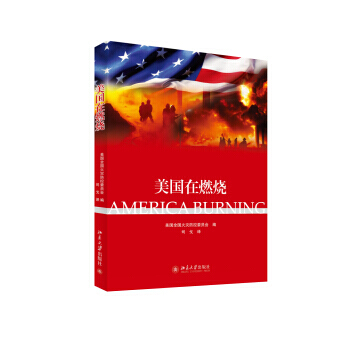 美国在燃烧 pdf epub mobi 电子书 下载