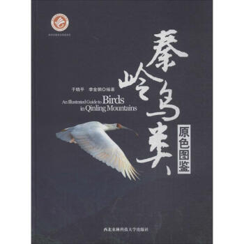 秦嶺鳥類原色圖鑒 pdf epub mobi 電子書 下載
