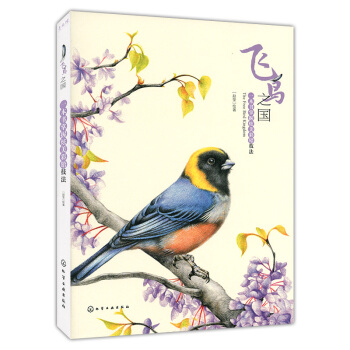 飞鸟之国：一本书掌握炫美彩铅技法 pdf epub mobi 电子书 下载
