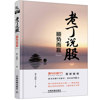 包郵 老丁說股 順勢而贏 丁衝 散戶投資炒股票操作指導書 選股買賣風險控製 散戶炒股交易係統操作技巧 pdf epub mobi 電子書 下載