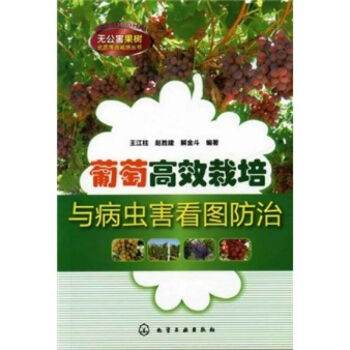 葡萄高效栽培與病蟲害看圖防治 王江柱 園藝種植書籍大全技術水産養殖書 葡萄高效栽培與病蟲害防治 葡萄 pdf epub mobi 電子書 下載
