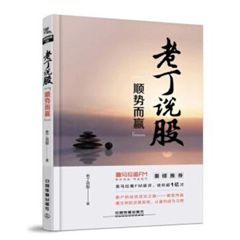 正版 老丁說股 順勢而贏 投資理財 基金 股市盈利炒股入門 選股買賣風險控製 散戶炒股交易 大盤預測 pdf epub mobi 電子書 下載