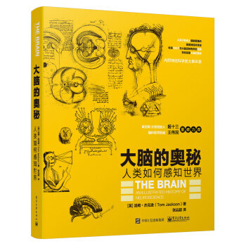 大腦的奧秘：人類如何感知世界 pdf epub mobi 電子書 下載