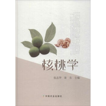 核桃學 pdf epub mobi 電子書 下載