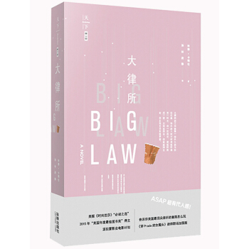 大律所 （美）林赛˙卡梅伦著，孙林、段静译 法律出版社旗舰店 pdf epub mobi 电子书 下载