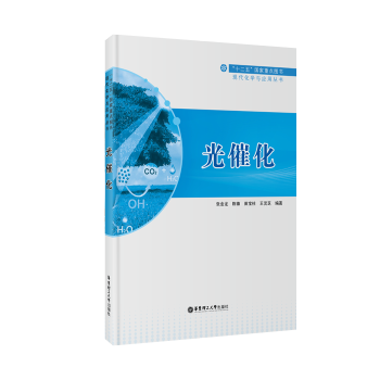 光催化 pdf epub mobi 電子書 下載