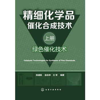 正版 精細化學品催化閤成技術(上冊，綠色催化技術) 陳誦英,趙永祥,王琴著 9787122 pdf epub mobi 電子書 下載