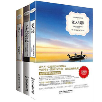 正版 名家名译世界文学名著 父与子+了不起的盖茨比+老人与海 共3册 外国名著文学经典 北京理工大学