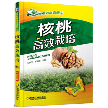 核桃高效栽培核桃树园艺书籍 农业科学核桃栽培与病虫害防治技术核桃苗培育园地管理农业种植系列读物 种核 pdf epub mobi 电子书 下载