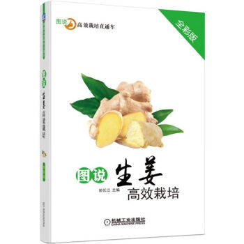 圖說生薑高效栽培 生薑種植書籍 生薑高效栽培技術大全書 生薑露地栽培 生薑大棚栽培技術指導 生薑病蟲 pdf epub mobi 電子書 下載