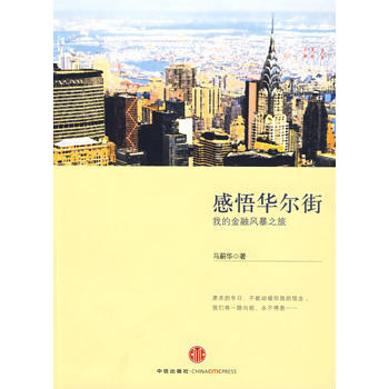 感悟華爾街：我的金融風暴之旅 9787508615981 pdf epub mobi 電子書 下載