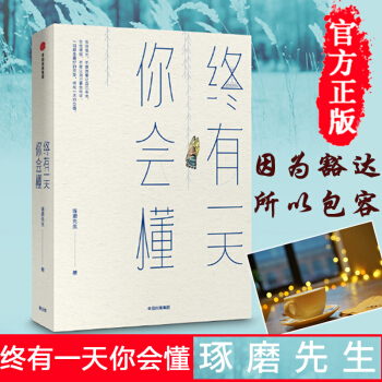终有一天你会懂 琢磨先生 著 中信出版社图书 正版书籍 pdf epub mobi 电子书 下载