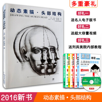 -15【量大从优】动态素描：头部结构【美】伯恩.霍加思 头部整体局部线性素描五管轮廓结构夸张肖像漫画 图片色 pdf epub mobi 电子书 下载