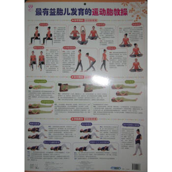 儿发育的运动胎教 pdf epub mobi 电子书 下载