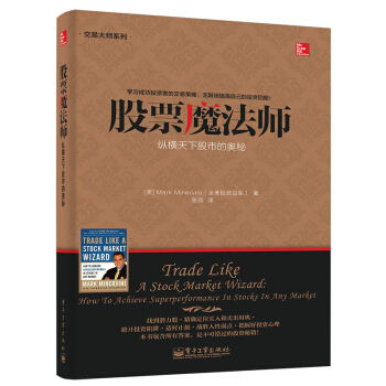 交易大师系列·股票魔法师：纵横天下股市的奥秘 金融投资 股票书籍 图书 pdf epub mobi 电子书 下载