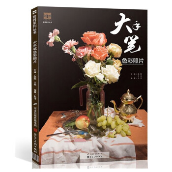 包邮2018新书大手笔色彩照片王祁孔涛水粉静物照片果蔬花卉器皿单体组合色彩静物写生美术高 pdf epub mobi 电子书 下载