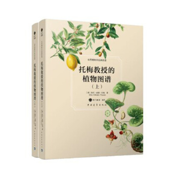 正版包邮 托梅教授的植物图谱（套装上下册共两本）/中国青年出版社 pdf epub mobi 电子书 下载