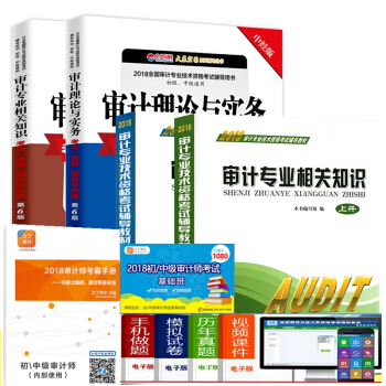 正版2018年審計專業技術資格考試教材 初中級審計師考試教材 上下冊 考點真題預測全攻略 全套4本 pdf epub mobi 電子書 下載