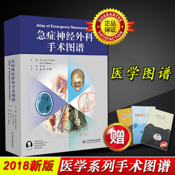 正版现货 急症神经外科手术图谱山东科技出版社 pdf epub mobi 电子书 下载